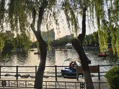 -莲湖公园