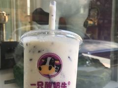 -一只酸奶牛(奎星楼店)