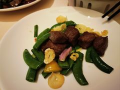 -正佳广场万豪酒店-粤菜餐厅·点心·海鲜·聚餐