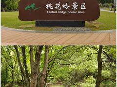 -桃花岭景区
