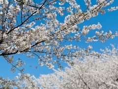 -白塘生态植物园