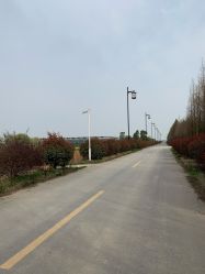 -水八仙生态园