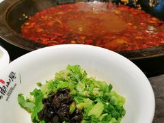 炝香红锅-大鱼山房鱼头火锅(老字号品质店)
