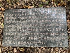 -上海佘山国家森林公园天马山园