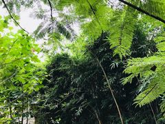 景点-东莞市可园博物馆