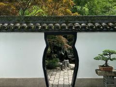 -上海醉白池公园