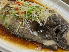 -陈炉印象