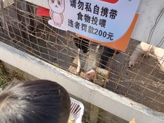 -菊园百果园