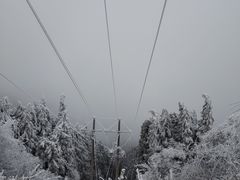 -武陵山森林公园