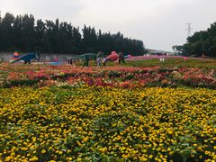 -海上田园
