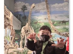 -自贡恐龙博物馆