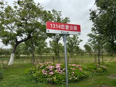 -南通鲜花小镇