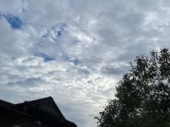 -深圳湾公园(南山区)