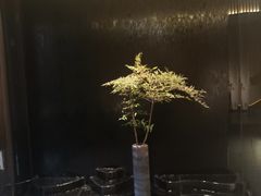 -梅间堂茶馆(绿地缤纷城店)