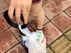 -蒂蒂香達濠魚丸