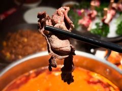 -正禾鲜·潮汕牛肉火锅(凯德天府店)