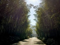 -天目湖御水温泉·度假酒店