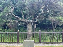 -草庵摩尼教遗址公园