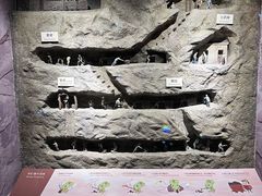 -正佳自然科学博物馆