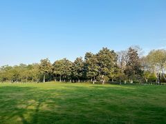 -红梅公园