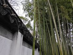 -秋霞圃