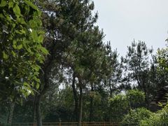 -天目湖涵田半山温泉