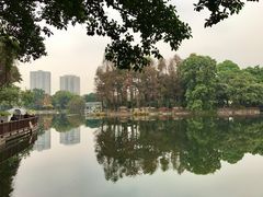 -荔湾湖公园