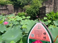 -广州莲花山旅游区