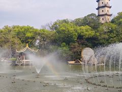 -江心屿景区