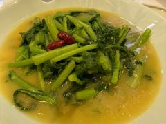 豆汤有机茼蒿-合兴居烤鸭店