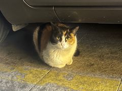 -便利蜂(广安门内大街319号店)