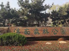 -济南森林公园