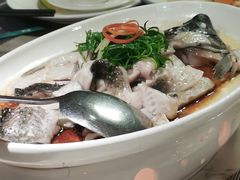 -巡味顺德菜(龙华壹方城店)