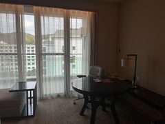 -河源万绿湖美思威尔顿酒店