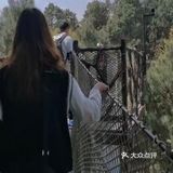 春日图鉴 | 拍照圣地 | 南京高淳国际慢城桠溪