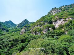 -大岭沟猕猴桃谷风景区