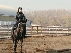 -月河湾马术俱乐部(朝阳店)