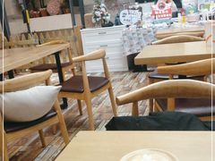 -酷豆宠物咖啡·宠物美食·撸猫馆