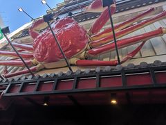 -蟹道乐(道顿堀本店)