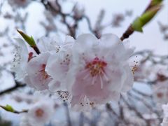 -慕田峪长城