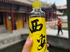 -华清宫景区