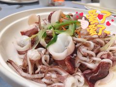 白灼鱿鱼-79号渔船海鲜饭店(宝安店)