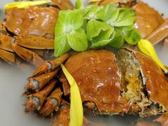 秘制花雕蟹-新光酒家·河豚·海鲜·蟹料理(浦东店)