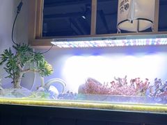 -街角等你.大连海鲜烧烤(西安路店)