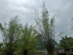 -靖西鹅泉风景区