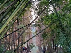 -广州市白云山风景名胜区