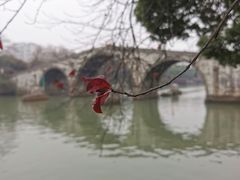 -运河游船(武林门码头)