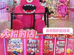 -BIG PINK大粉娃娃机主题馆(圆融星座店)