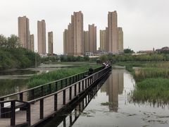 -前关湿地公园
