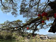 -云水谣景区